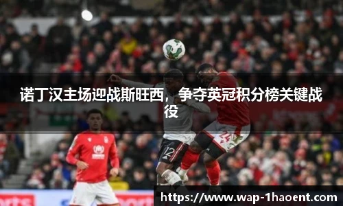 诺丁汉主场迎战斯旺西,争夺英冠积分榜关键战役